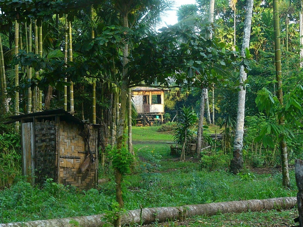 Coastal village  &copy; OceansWatch www.oceanswatch.org